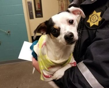 5841db711800002c00e409e6