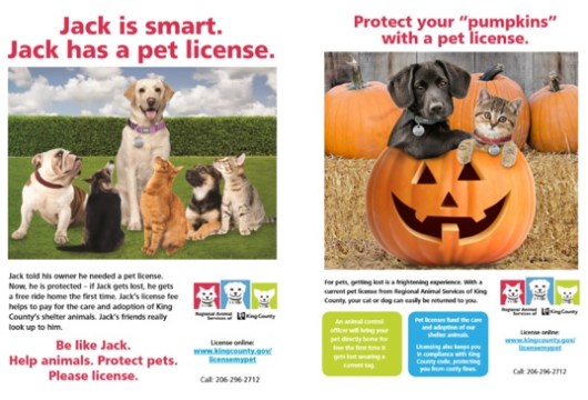 2017 license campaigns