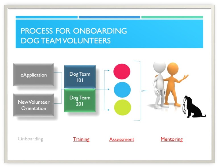 DogTeam-InternalUpdates_20171212