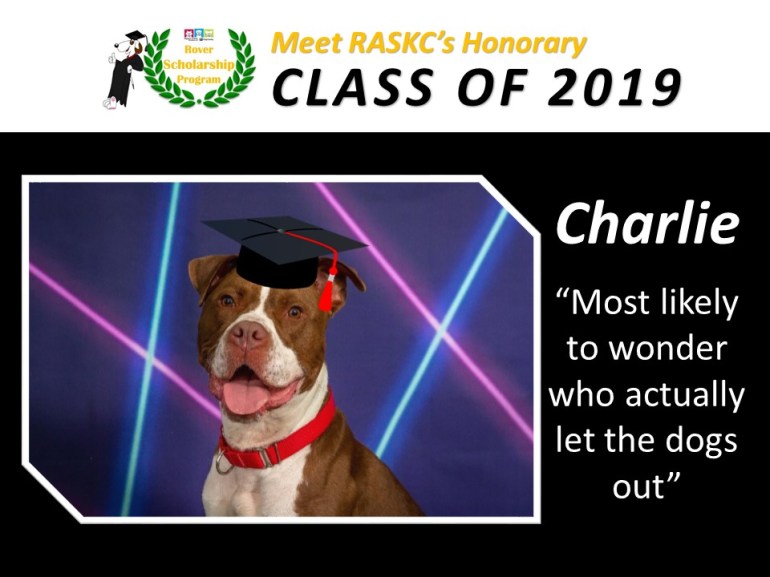 RoverScholarship2019 - Blog - Charlie