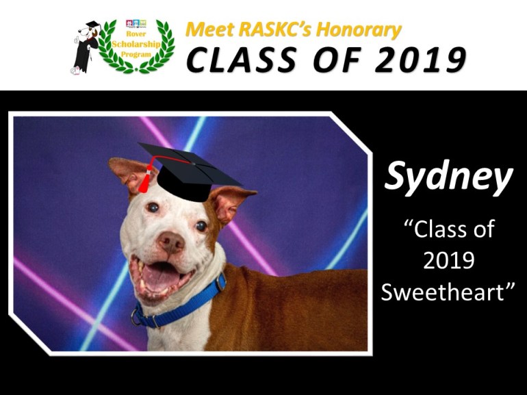 RoverScholarship2019 - Blog - Sydney