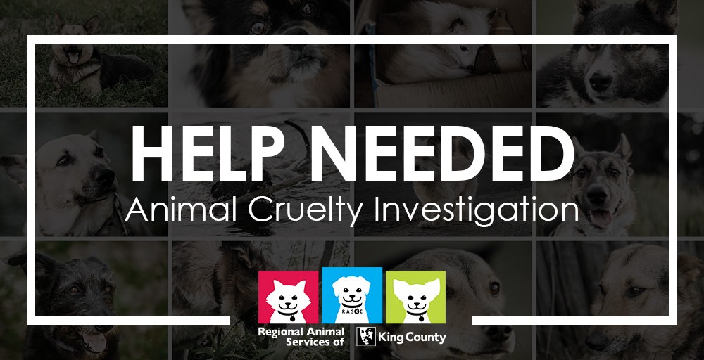 Graphic collage of many dog photos with text HELP NEEDED Animal Cruelty Investigation with RASKC logo