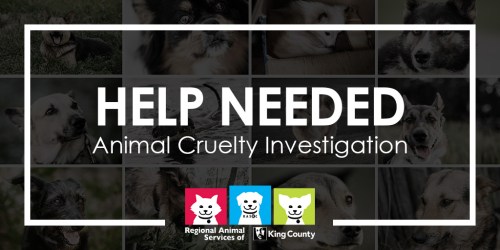 Graphic collage of many dog photos with text HELP NEEDED Animal Cruelty Investigation with RASKC logo