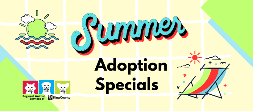 RASKC Summer Adoption Specials graphic