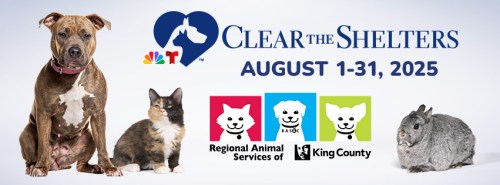 Clear The Shelters campaign banner with photos of a dog, cat, and rabbit; CTS and RASKC logos and text August 1-31, 2025