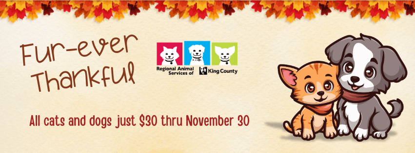 Graphic with colorful fall leaves, a RASKC logo, and a cartoon cat and dog. Text reads: "Fur-ever Thankful, all cats and dogs just $30 thru November 30"