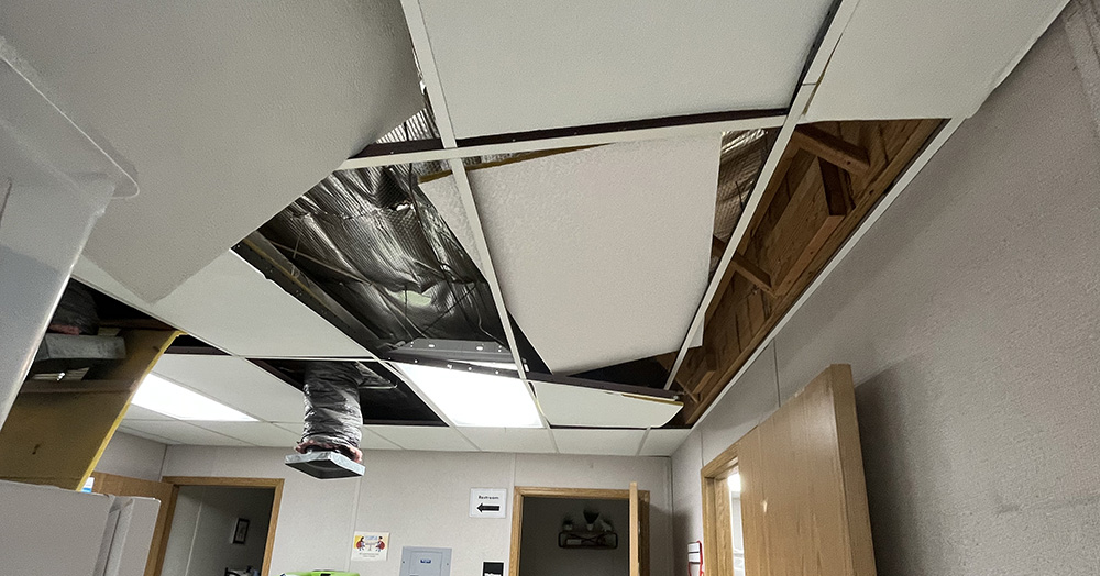 View of damaged ceiling inside cat building