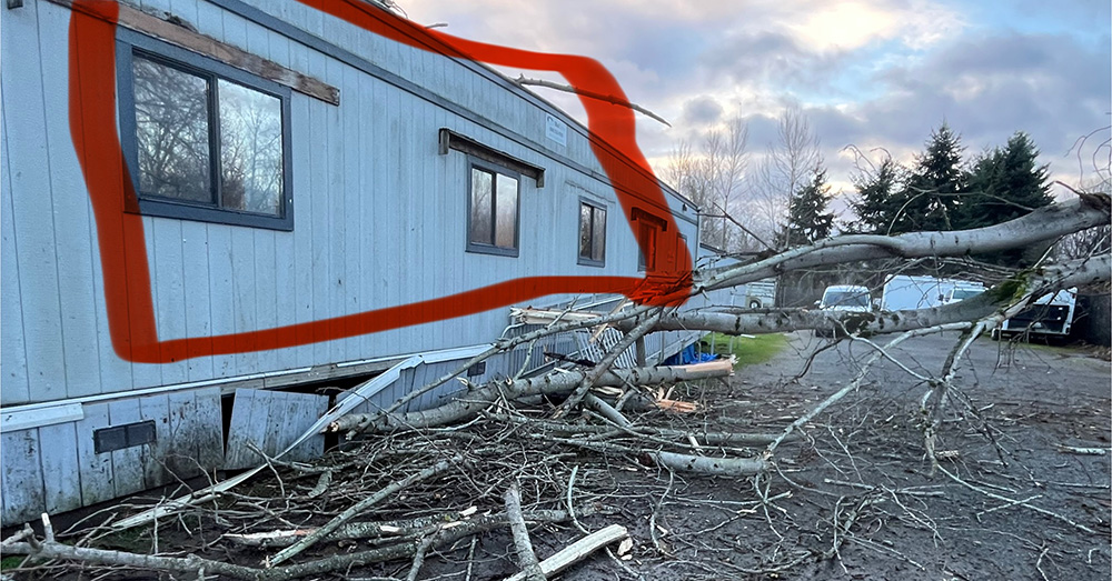 View of damaged exterior of cat building