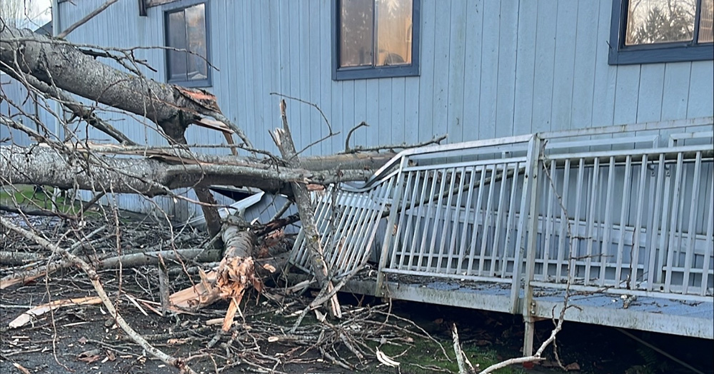 Broken branches and smashed ramp on cat building