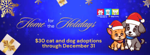Home for the Holidays pet adoption promotion graphic with snowflakes, gifts, and a cat and dog both in Santa hats. The text reads "$30 cat and dog adoptions through December 31"