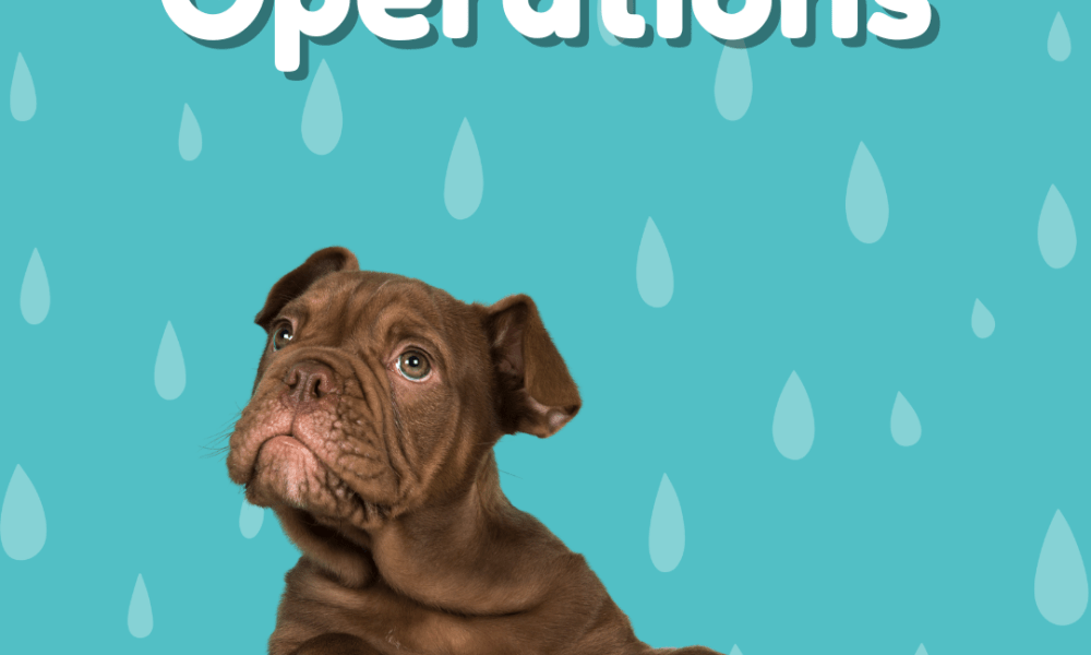 Graphic with dog and RASKC log, text reads "Limited Operations"