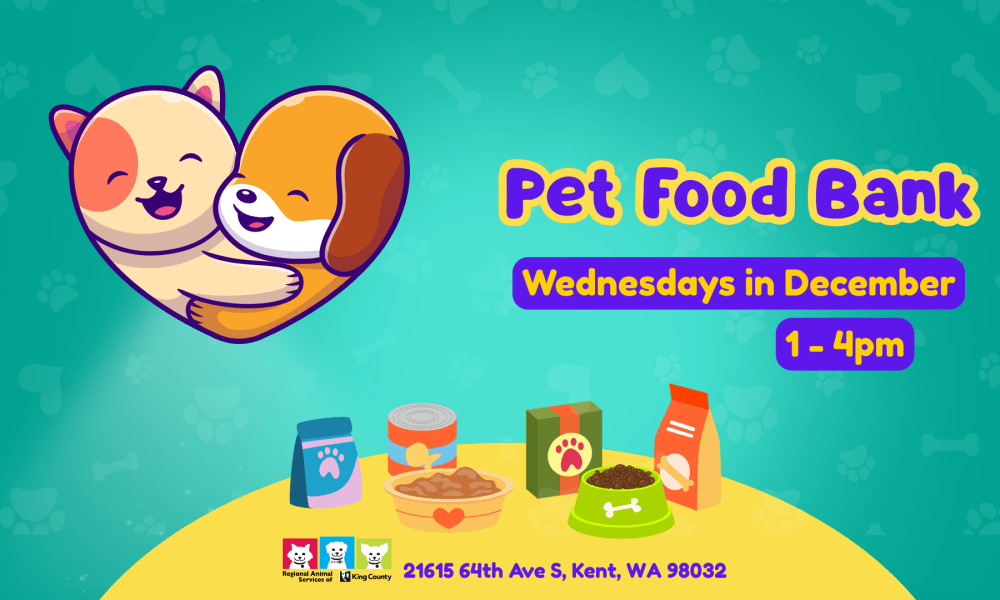Graphic for December Pet Food Bank events with cartoon drawing of cat and dog hugging placed above a table with various bags and cans of pet food and food bowls. Text reads Pet Food Bank, Wednesdays in December, 1-4pm. Regional Animal Services of King County, 21615 64th Ave. S., Kent, WA 98032