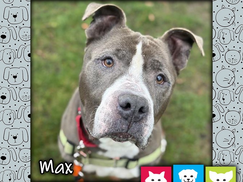 Max