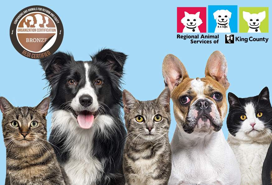 Group of cats and dogs on blue background with CARE REDI Bronze Certification seal and RASKC logo