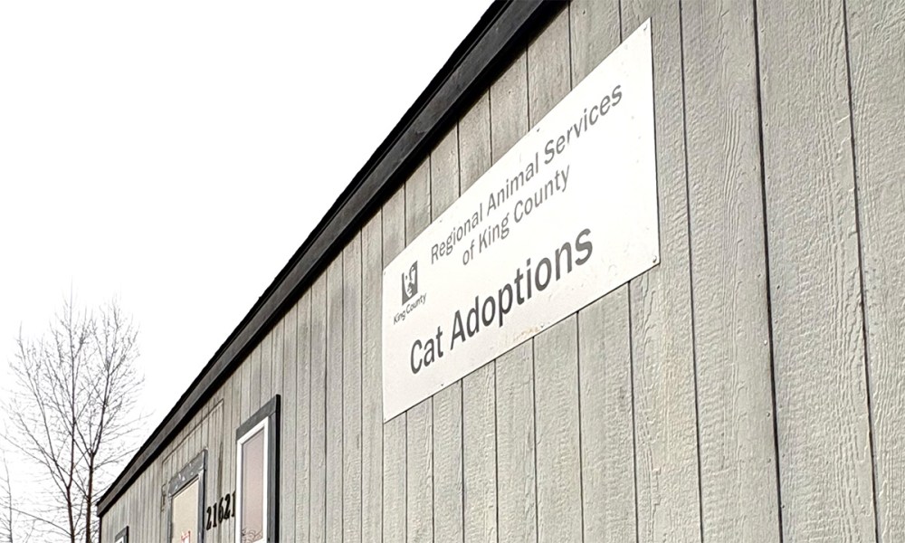 Exterior of newly-refurbished Cat Adoptions Building at RASKC