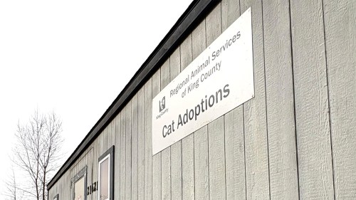 Exterior of newly-refurbished Cat Adoptions Building at RASKC