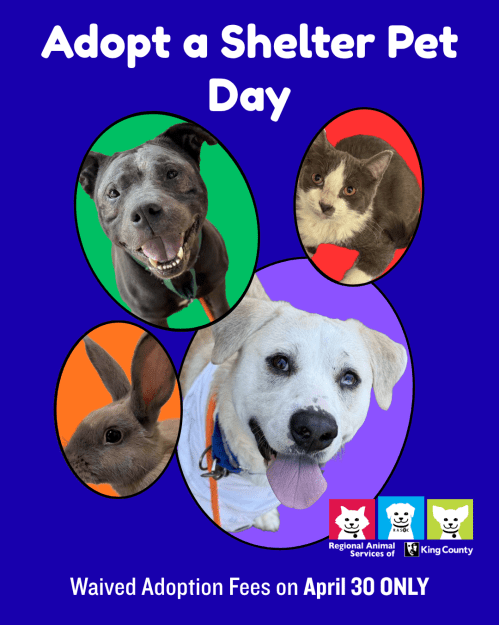 Adopt a Shelter Pet Day graphic with RASKC logo and photos of dogs, a cat, and a rabbit