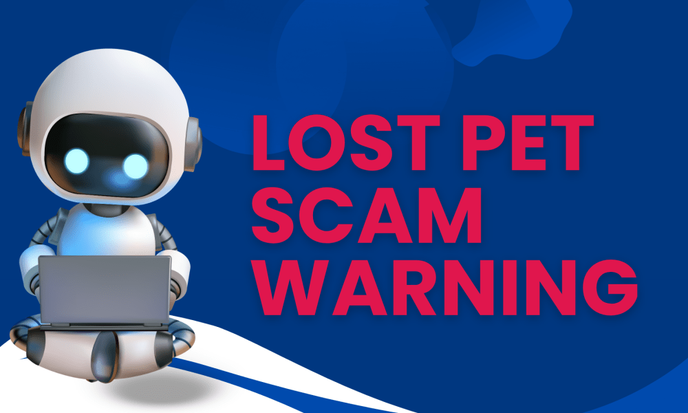 Graphic with "robot" on a laptop and text LOST PET SCAM WARNING