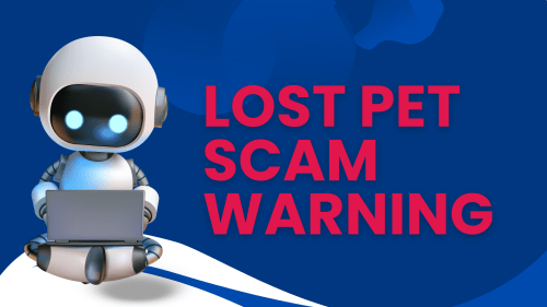 Graphic with "robot" on a laptop and text LOST PET SCAM WARNING