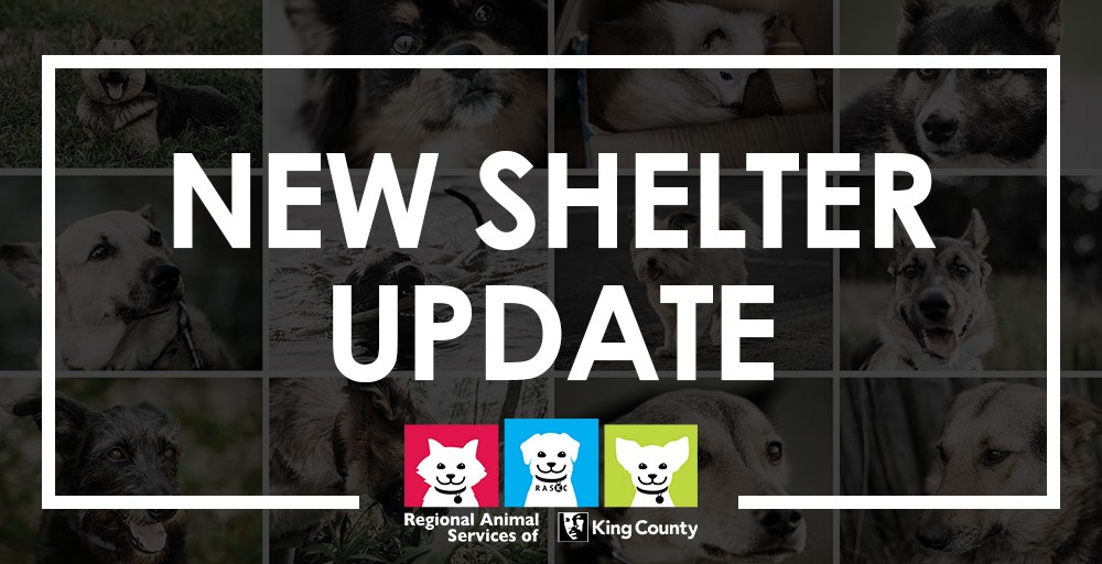 RASKC New Shelter Update header