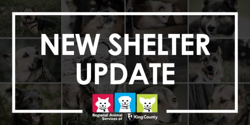 RASKC New Shelter Update header
